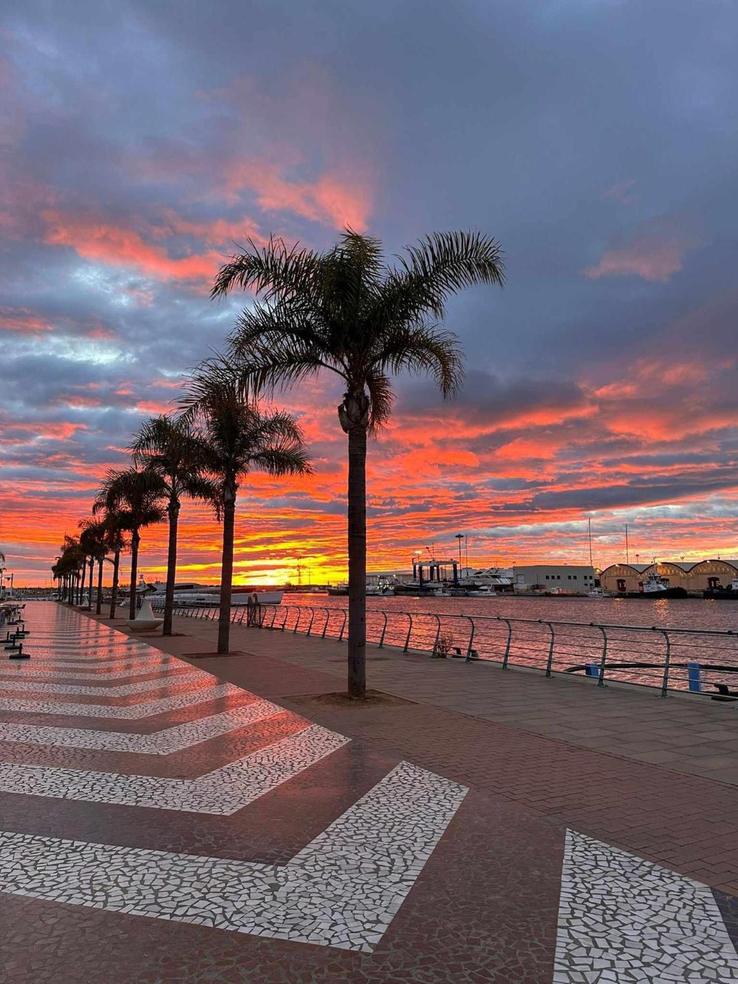 Apartament Ambar Gandia Playa-Grao Con Piscina Parking Ideal Para Familias Екстериор снимка